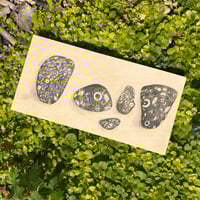 Packstone Portraits Graphite Drawing