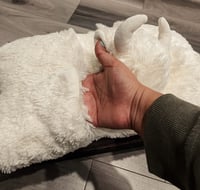 Image 2 of Highland Pillow for all ages 