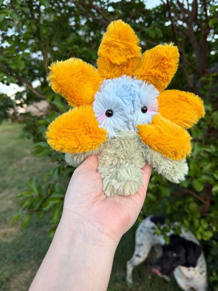 Image of Little flower