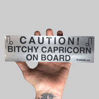 Image 10 of Zodiac Bumper Stickers