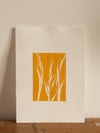 Yellow Grass 3  Original Botanical Monoprint  A4  *Seconds*