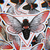 Cicada Omen | Vinyl Sticker