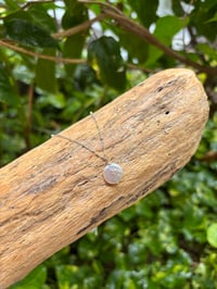 Image 2 of classic coin pearl necklace in sterling silver 
