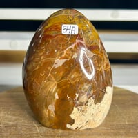 Image 1 of Petrified Wood Freeform (34A)