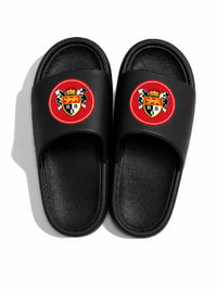 Image 2 of Bridlington Town Sliders