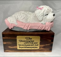 Image 2 of Custom Engraved White Maltipoo Maltese Pet Urn To Your Dog's Photo
