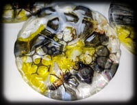 Image 2 of HoneY TraP Coasters