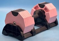 Pink adjustable 80 lbs dumbbell set with stand