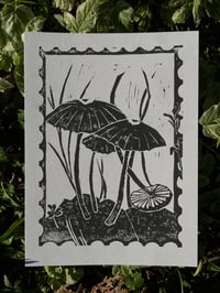 Image 1 of Mushroom Print 6x8”