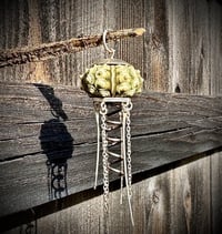 Image 5 of Surrender