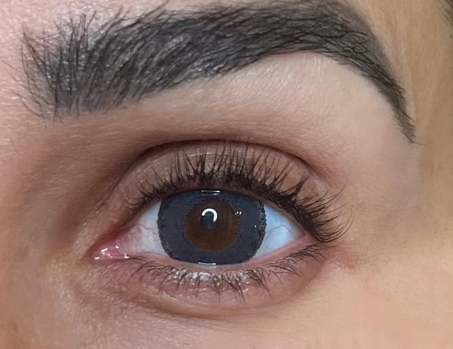 FreshTone Blends Sterling Gray