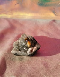 Image 4 of Mini Mushroom Pendant