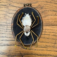 Image 3 of Spider (b, 2x2.5 inches)