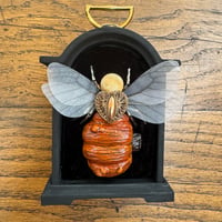 Image 1 of Pumpkin bee (a, 3 x 4 inches) 