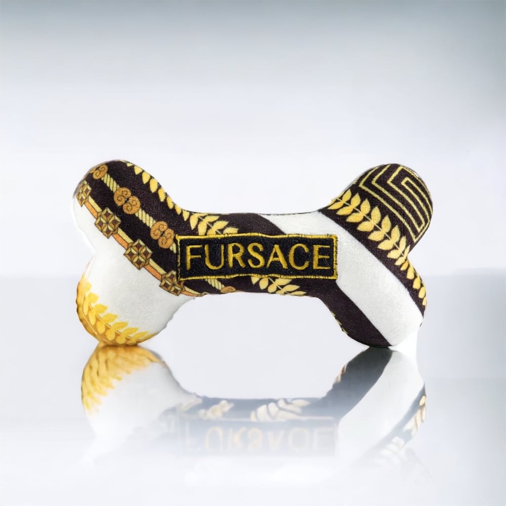 Image of Fursace Bone Toy