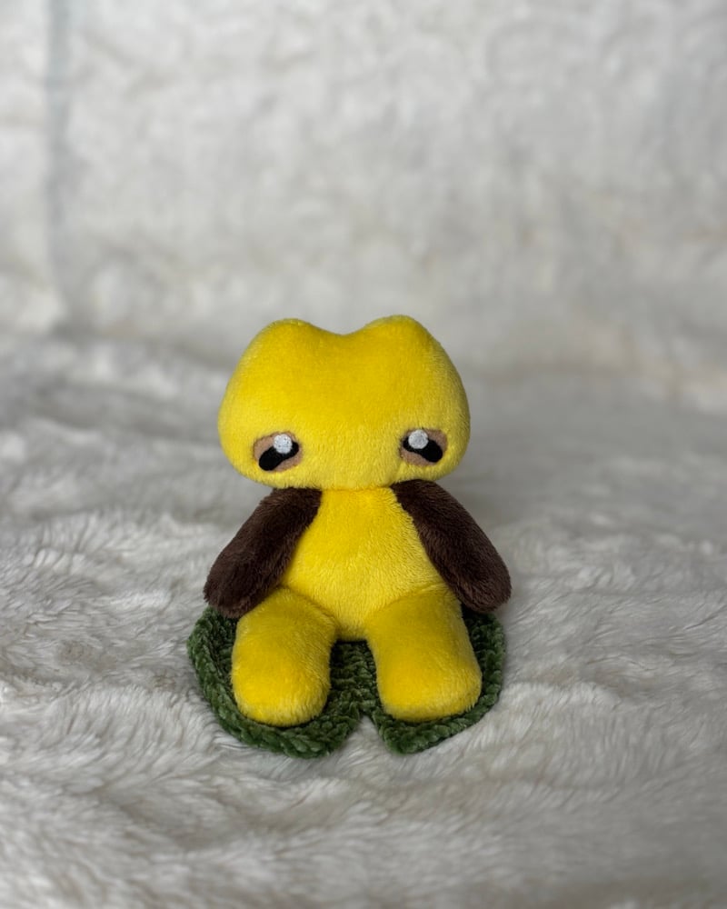 Image of Yellow Frog 