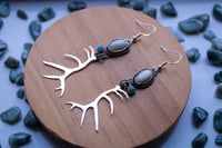 Image 3 of Elk Ivory & Turquoise Antler Earrings 