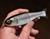 Finesse Shat - “Light Trout” 🌈