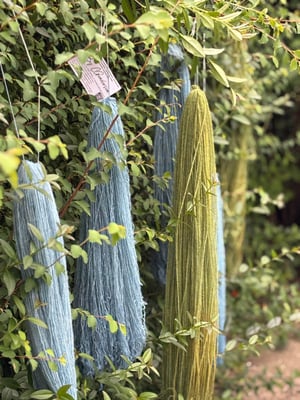 Image of INDIGO plantefarvedag, 7. marts 2026