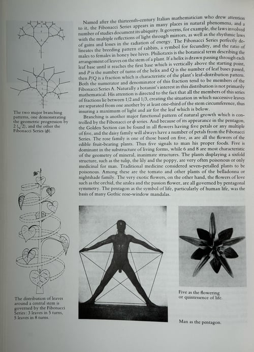 Image of Philosophy and practice sacred geometry (Robert Lawlor)
