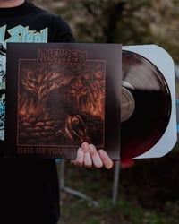 Image 3 of SINS OF YOUR DOMAIN VINYL