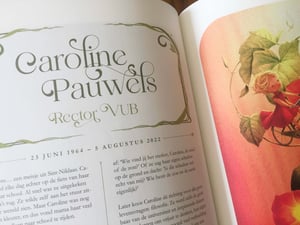 Image of Er was eens een dapper meisje - Hardcover - Gesigneerd