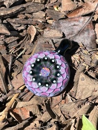 Image 7 of Queen Purple