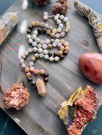 Image 4 of The Seashell Mini