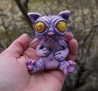 Image 1 of Tweaker cat