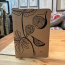 Image 5 of Insect notebooks