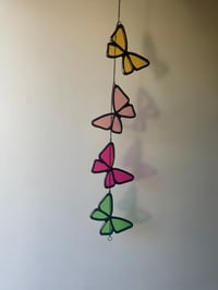 Image 1 of Butterflies V12