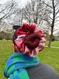 Image 3 of red & pink