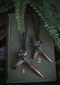 Image 1 of Real antler pieces with holly leaves and crystals