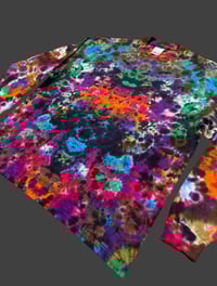 Image 3 of XL LS Earthy Rainbow
