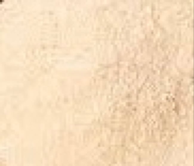 Ashwaganda Root  Powder