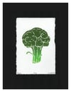 Broccoli Floret