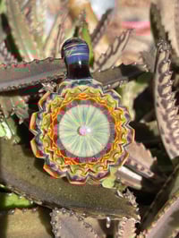 Image 5 of galactic dahlia 