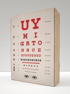 Image of Agudeza visual. Rosario Flores.