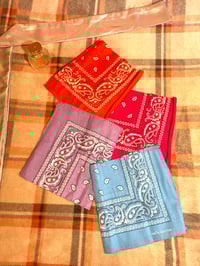 Image 4 of Satin Lined Bandanas