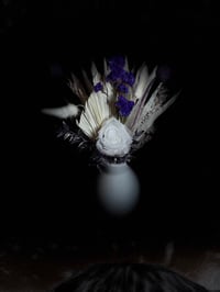 Image 5 of Purple Haze 
