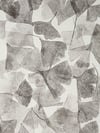 Ginkgo biloba 01 - A4 - Original Botanical Monoprint 