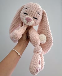 Image 4 of Beck the Bunny