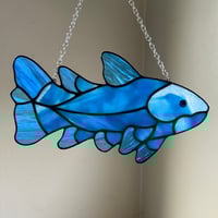 Image 2 of Coelacanth