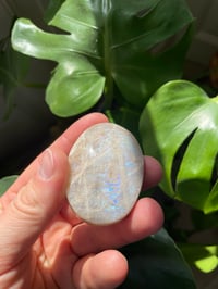 Image 3 of Moonstone Palm Crystal (3)