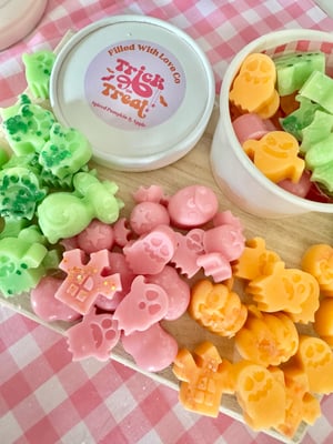Image of LIMITED EDITION WAX MELTS
