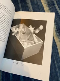 Image 5 of Grape Coloured Breasts, The Dolls of Nori Doi, 1986.