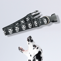 Misfits Dog Collar