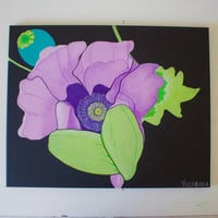Poppy