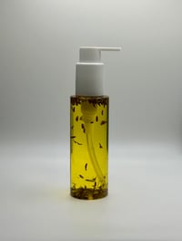 Lavender Infused Body Oil