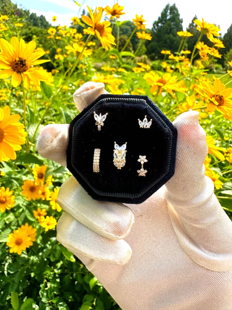 Image of Hoop Nose Rings